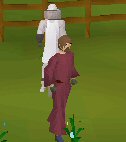 beekeeper