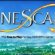 Free high level Runescape accounts