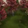 Heroes Quest Runescape