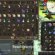 How to hack Runescape Accounts?