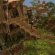 Old School RuneScape Updates