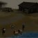 RuneScape fishing money Making