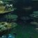 Runescape membership Card online