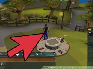 Image titled Make Money in RuneScape as a Non Member Step 3