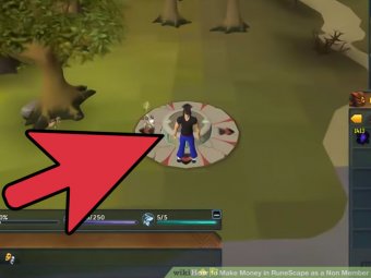 Image titled Make Money in RuneScape as a Non Member Step 4