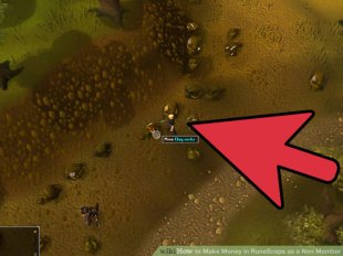 Image titled Make Money in RuneScape as a Non Member Step 10