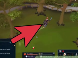 Image titled Make Money in RuneScape as a Non Member Step 12