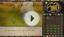 RuneScape 2007 The BEST way to get started and make money