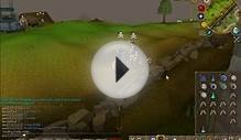 RUNESCAPE BOT SKULLING