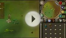 Runescape Hunter Bot - Free Download - 1 - 99 In Days