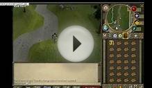 runescape-money making guide