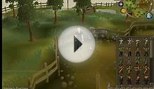 runescape rat pit advertisment