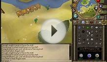 Spawn-pk 2013 Runescape spawn server
